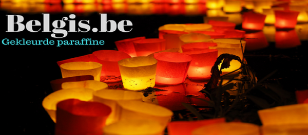 Logo belgis.be webshop