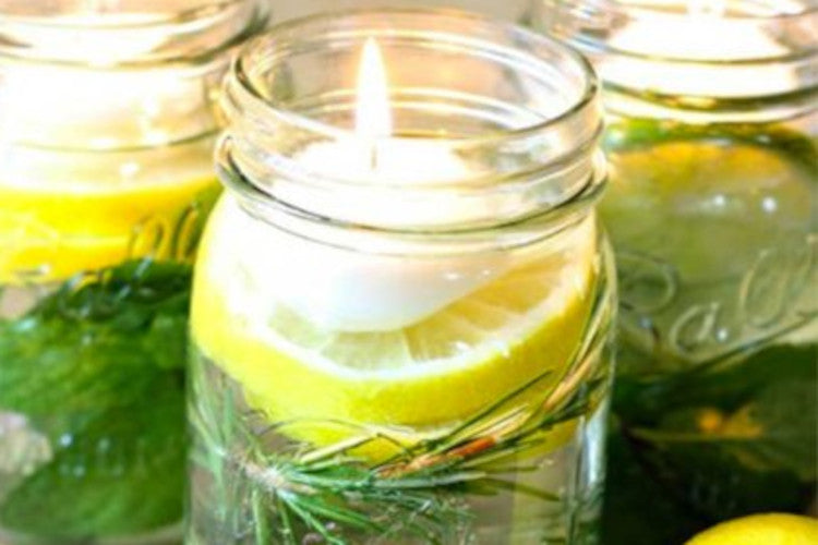 Citronella