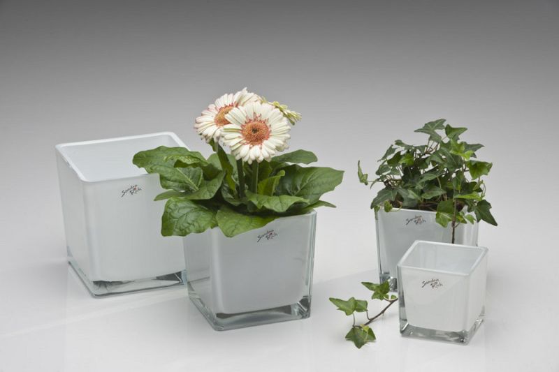 White emotion 'Cube'*