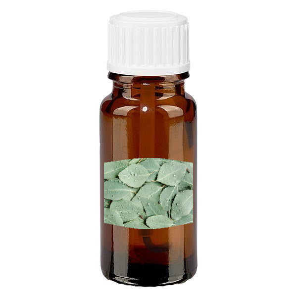 Eucalyptus