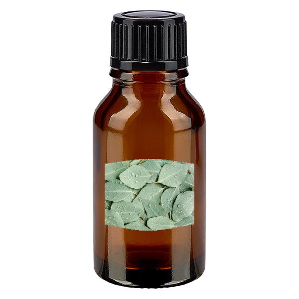 Eucalyptus