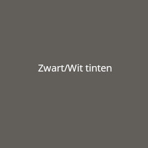 Zwart - wit tinten