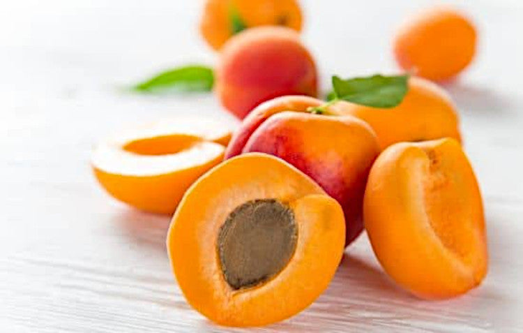 Apricot*